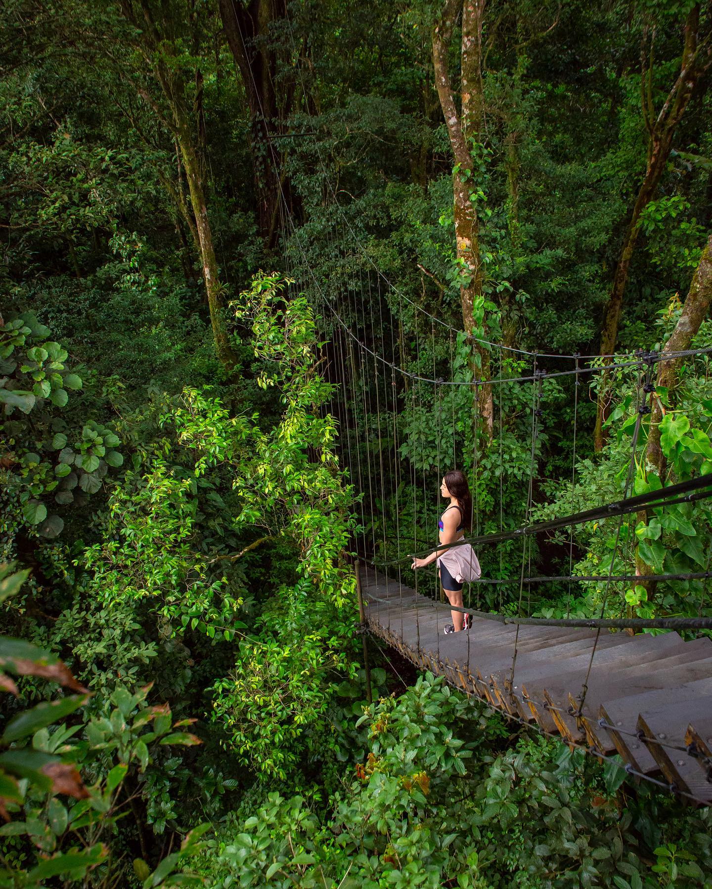 Enjoy the tropical rainforest from above!
.
Experience Sensoria for an unforgettable adventure!
.
Reserve your visit today at www.sensoria.cr or via WhatsApp at +506 8955-4971.
.
#experiencesensoria
.
#costarica #visitcostarica #sustainabletravel #sustainability #tropical #rainforest #jungle #sustainabletourism #hiking #thisiscostarica #sensoria  #travel #luxury #costarica #thermalpools #wellness #wellnestravel