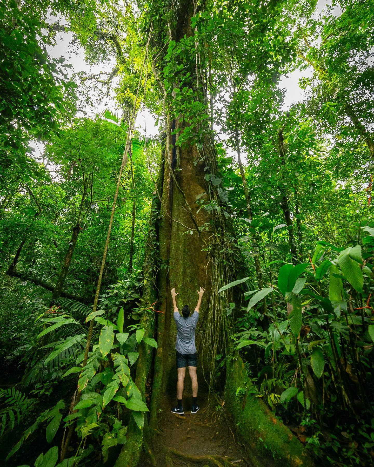 “Thank you for a beautiful experience with Nature!”
.
Discover the essence of the tropical rainforest next to the centenary trees that stand along our pristine trails.
.
Reserve your visit today at www.sensoria.cr or via WhatsApp at +506 8955-4971.
.
#experiencesensoria
.
#costarica #visitcostarica #sustainabletravel #sustainability #tropical #rainforest #jungle #sustainabletourism #hiking #thisiscostarica #sensoria  #travel #luxury #costarica #thermalpools #wellness #wellnestravel
